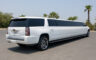 GMC VIP Limousine